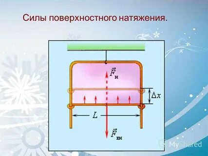 Сила поверхностного натяжения презентация