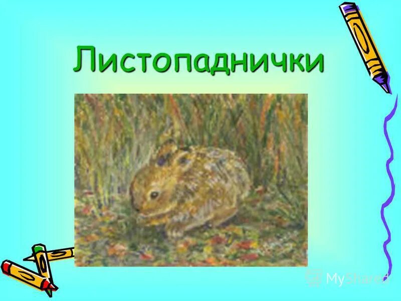 опиши листопадничка