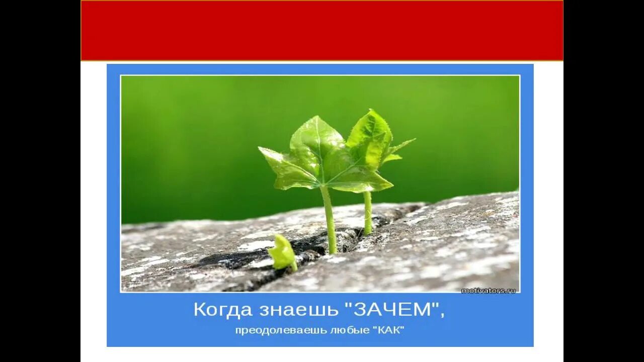 Зачем не зная слушать. Когда знаешь зачем преодолеешь любые как. Когда знаешь "зачем", преодолеваются любые "как".... Когда знаешь зачем выдержишь любое как. Тот кто знает зачем жить преодолеет почти любое как.