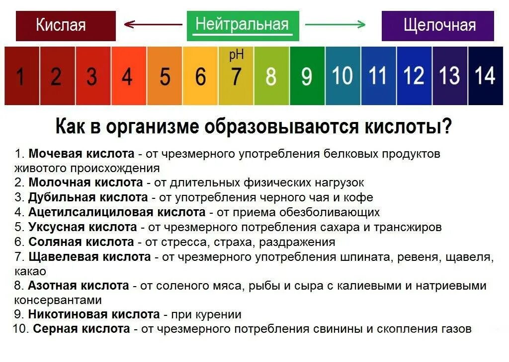 Щелочная реакция крови. РН крови кислая или щелочная. Щелочная среда PH В организме человека. Показатели PH кислой и щелочной среды. Кислотно-щелочной баланс организма (PH).