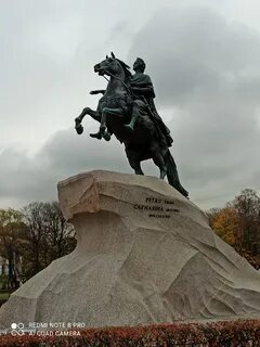 Медный всадник мысль