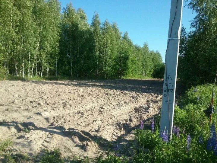 Участковые бор. Деревня Дуплево. Деревня Дуплево Нижегородская область. Дуплево Борский район. Дуплёво.