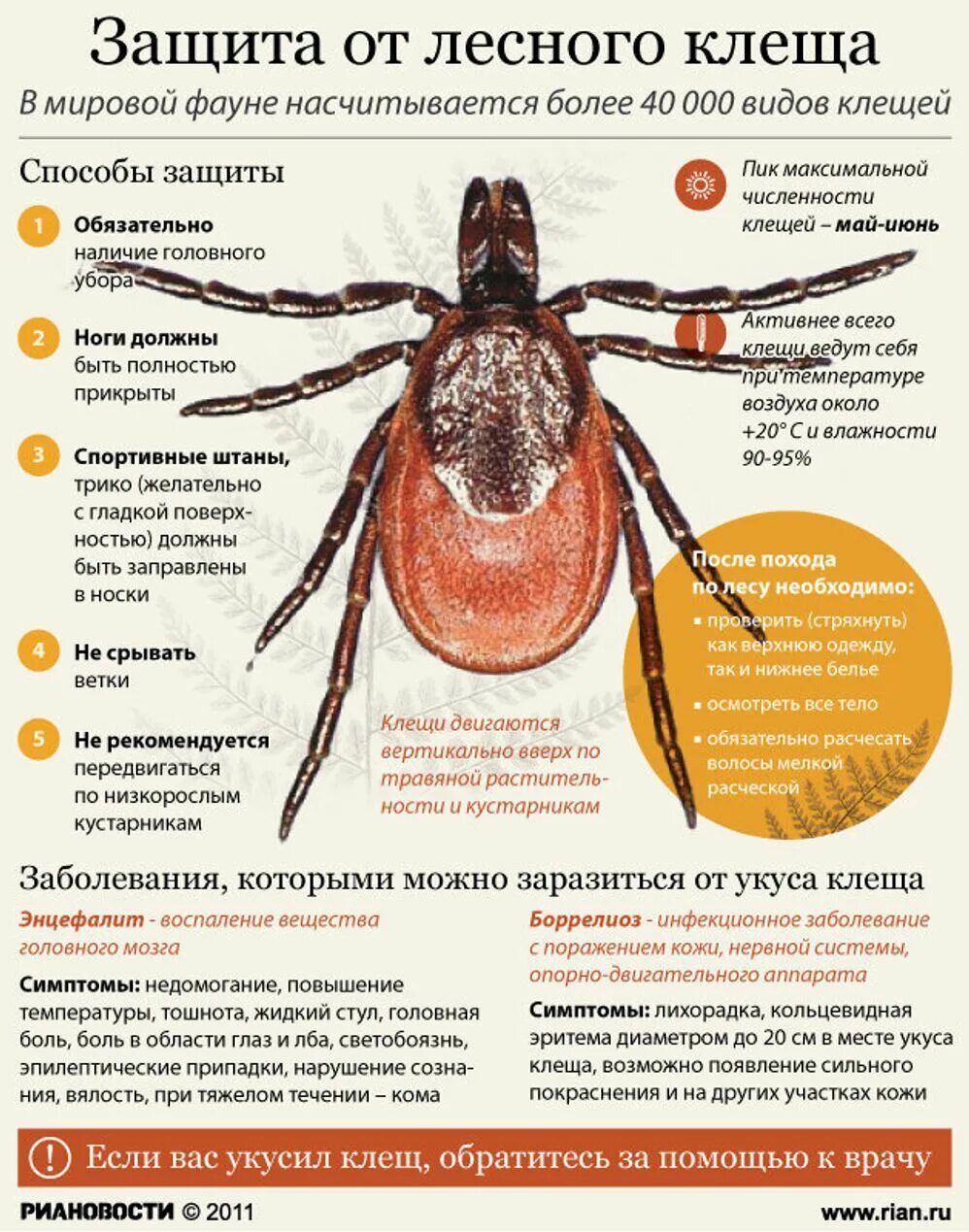 Может ли быть температура от клеща. Клещевой энцефалит вакцинация памятка. Клещевой энцефалит и боррелиоз памятка. Иксодовый клещевой боррелиоз профилактика. Профилактика укусов клещей памятка.