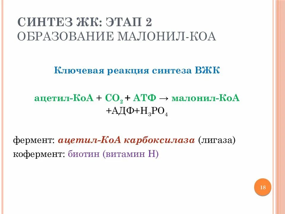 Реакция образования малонил КОА. Синтез малонил КОА. Образование малонил КОА из ацетил КОА реакция. Синтез ВЖК образование малонил.