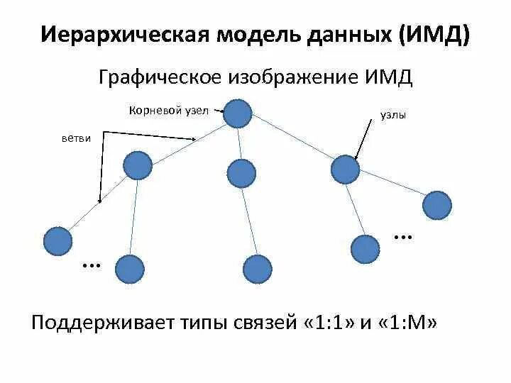 Модель иерархической системы. Схема иерархической структуры. Иерархическая модель данных схема. Иерархическая модель данных (ИМД). Графическое изображение иерархической модели данных.