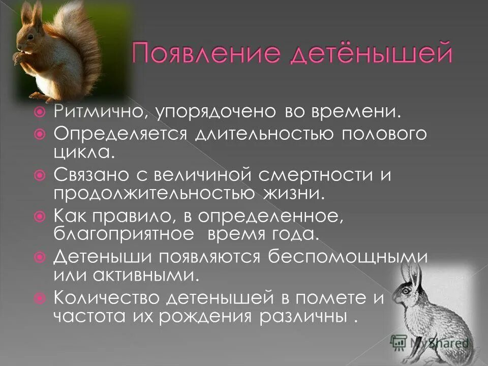 Годовой жизненный цикл птиц 7 класс. Размножение и развитие млекопитающих годовой жизненный цикл. Годовой жизненный цикл млекопитающих 7 класс. Годовой жизненный цикл млекопитающих таблица. Основные этапы годового жизненного цикла млекопитающих.