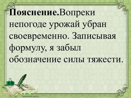 Вопреки предсказанию старожилов было тепло