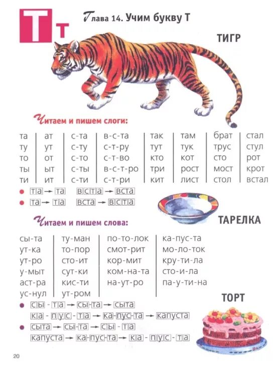 Слоги слова зверь. Тигр по слогам. Тигр слоговая схема. Тигр сколько букв и звуков. Слоговые схемы.