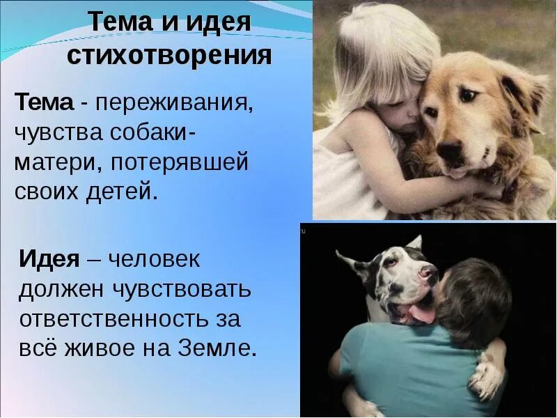 Анализ стихотворения есенина собака. Песнь о собаке. Песнь о собаке Есенин. Стихотворение песнь о собаке. Идея стихотворения песнь о собаке.