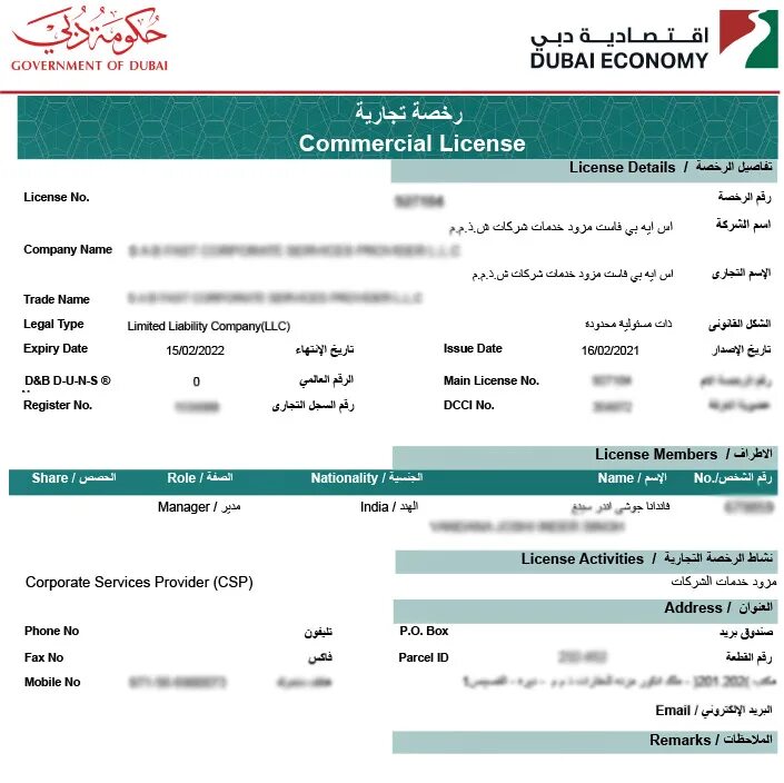 Commercial license. Trade License Dubai. License in Dubai. Professional License Дубай. Government of Dubai.
