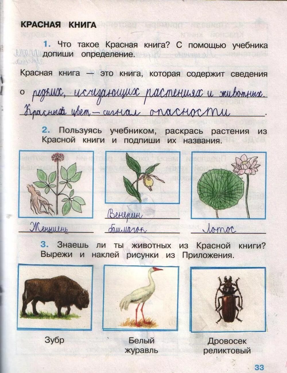 Окружающий мир страница 44 46. Окружающий мир 2 класс рабочая тетрадь 1 часть стр 60-61 ответы. Окружающий мир 2 класс рабочая тетрадь 1 часть Плешаков ответы стр 60-61. Окружающий мир второй класс Плешаков рабочая тетрадь часть первая. Рабочая тетрадь по окружающему миру 1 класс 2 часть Плешаков.