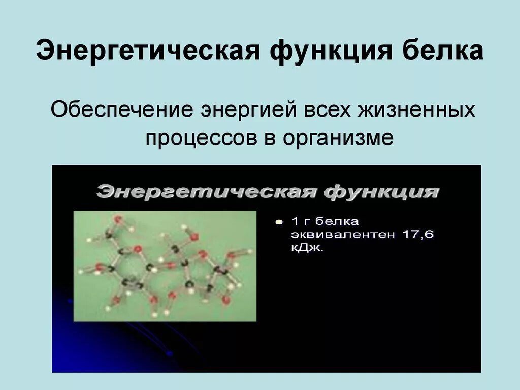 Энергетическая белка. Энергетическая функция белков примеры. Энергетическая функция белка пример. Энергетическая функция белков в организме человека. Энергетическая функция примеры.