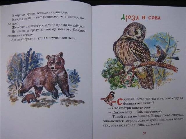 Медведь-дармоед Сладков. Сказка медведь дармоед Сладков. Сладков медведь-дармоед книга. Сказки сладкова о животных