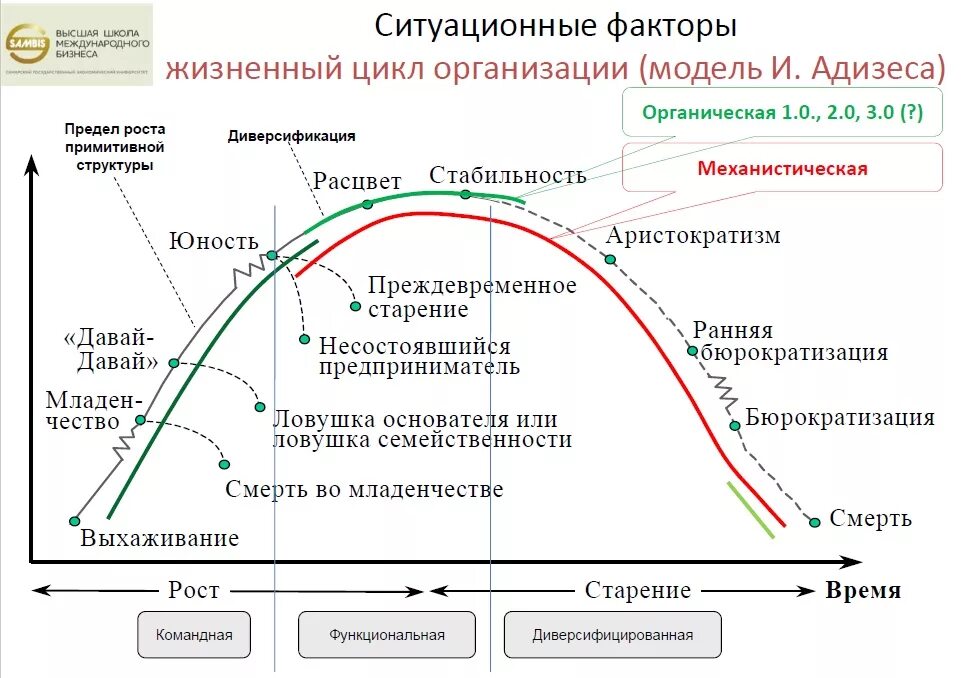 Россия на какой стадии. Этапы жизненного цикла фирмы. Этапы развития жизненного цикла организации. Фазы жизненного цикла фирмы. Стадии жизненного цикла предприятия.