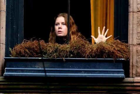 Window 2021