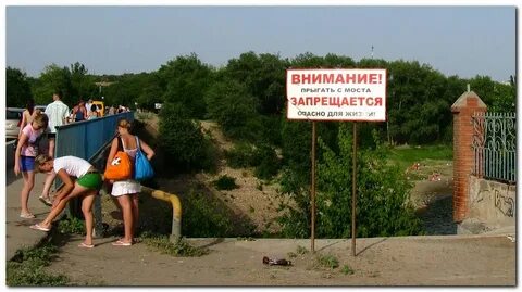Остров зеленый волжский
