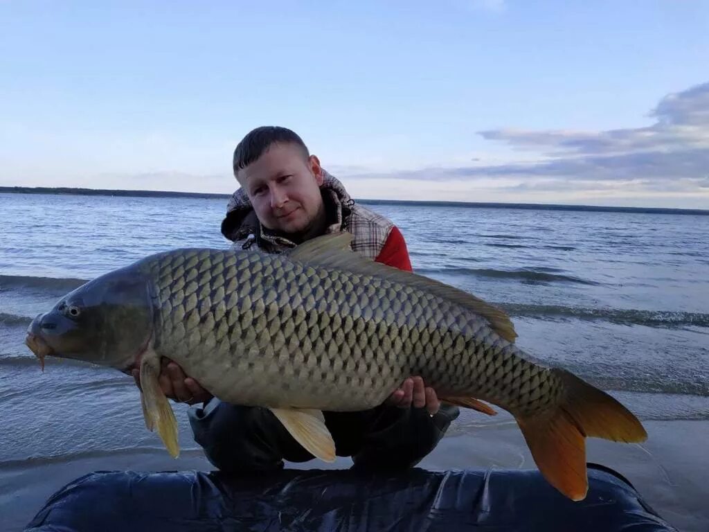 Рыбы обского водохранилища. Какая рыба в обском водохранилище. Обская рыба, нягань. Судак обской. Рыбы в обском море.