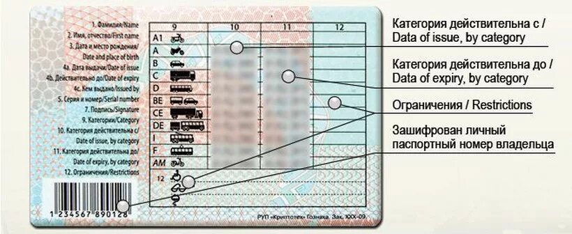 Категории водительских прав РБ. Расшифровка водительского удостоверения. Обозначения на правах водительских нового образца. Расшифровка нового водительского удостоверения