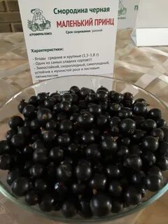 Смородина самая крупная