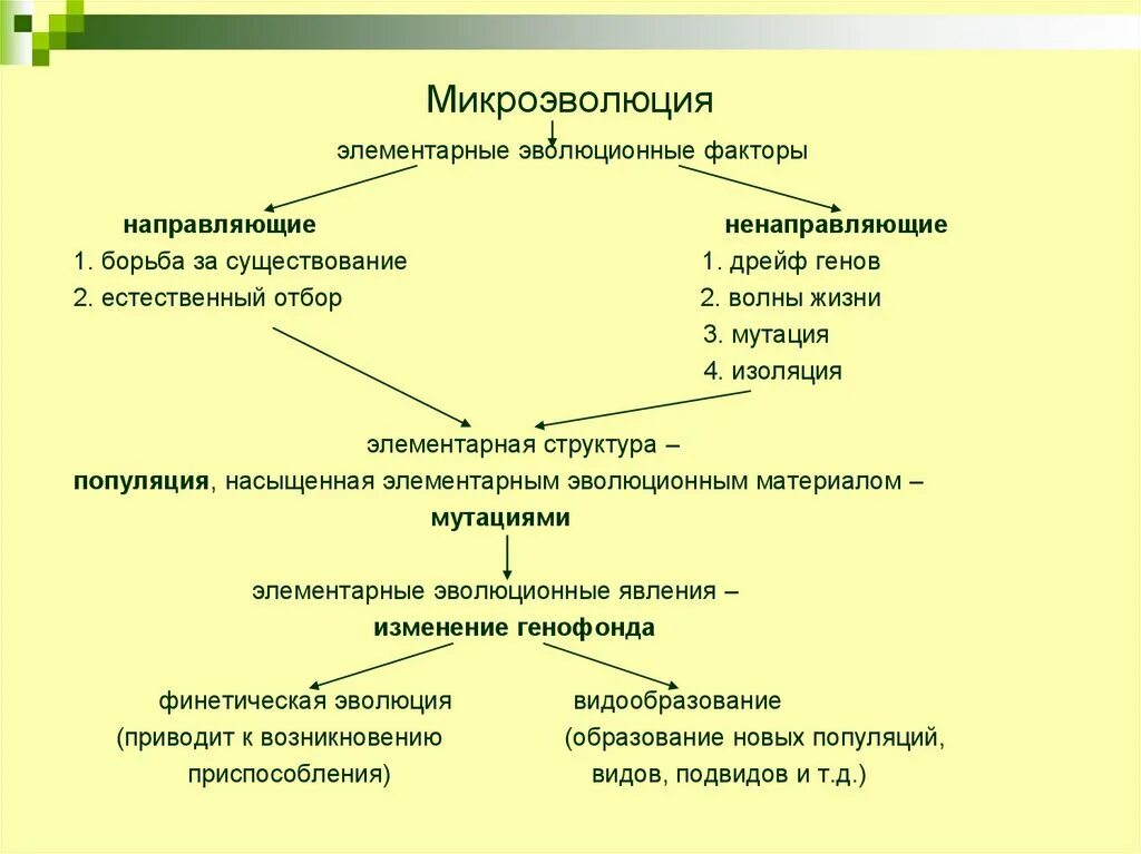 Результатом является репродуктивная изоляция и видообразование. Элементарные эволюционные факторы микроэволюции. Элементарные факторы эволюции таблица биология 9 класс. Факторы эволюции схема. Элементарные факторы эволюции результат.