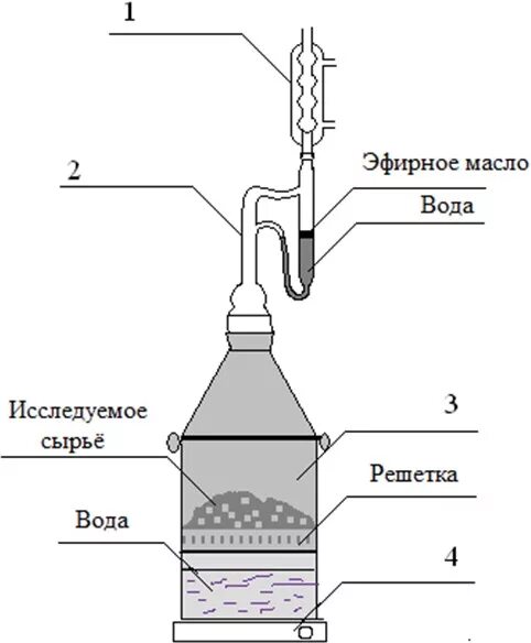 Метод перегонки с водяным паром эфирных масел. Дистиллятор для эфирных масел Сокслета. Схема лабораторной установки получения эфирного масла. Схема производства пихтового масла. Методы получения масел