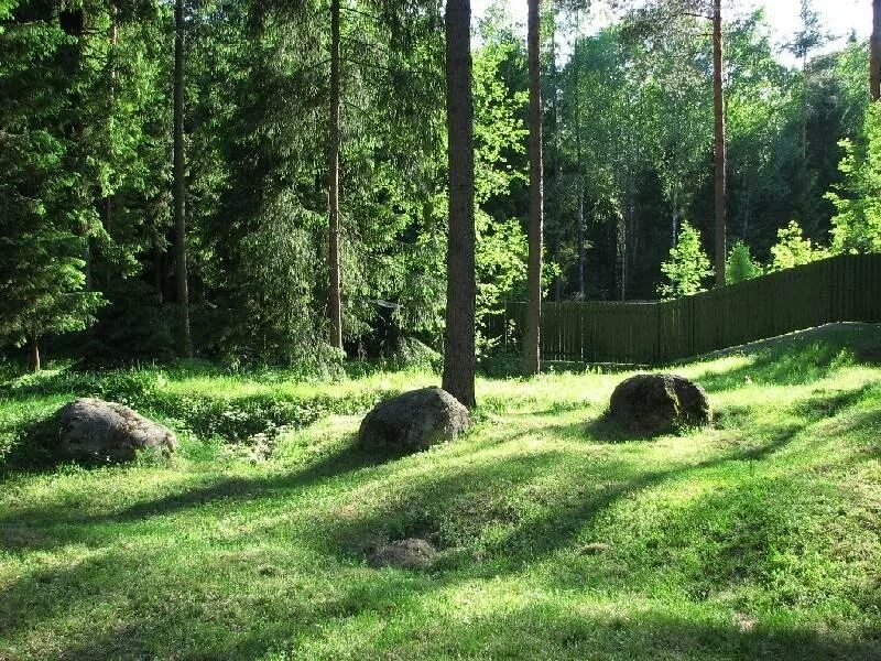 Деревня гостилицы ленинградская область. Горгала. Аньялово фото. Земельный участок дача уют. Красный бор ломоносовский район.