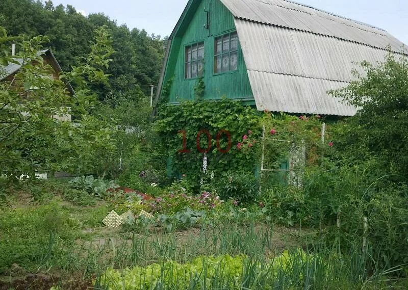 СНТ Родник Тула. Тула дача СНТ. СНТ Родники Тульская область. СНТ Тула 1. Дача тульская область ясногорский район