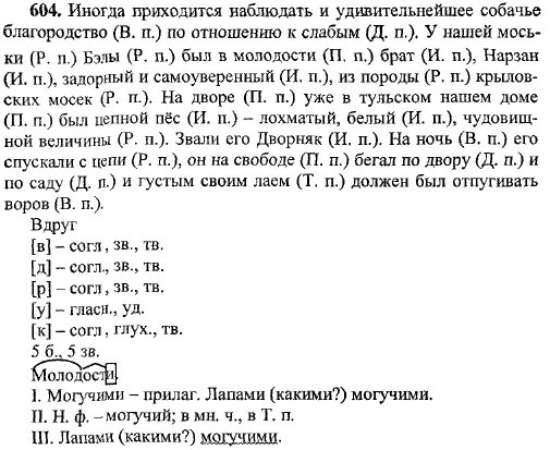 Русский язык 5 класс готовые. Рус яз 5 класс номер 480. Гдз русский язык 5 класс 2 часть. Упражнение 480 по русскому языку 6 класс.