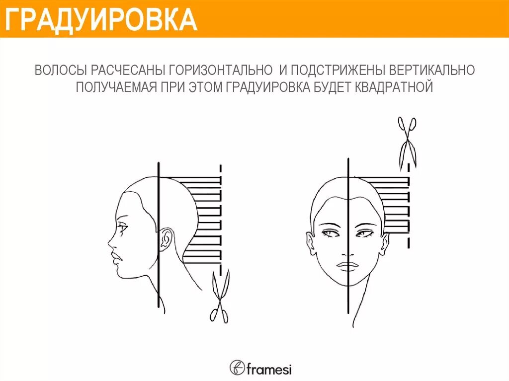 Градуированная стрижка схема выполнения. Технология градуированной стрижки. Градуированная форма стрижки схема метод. Градуированная форма стрижки технология выполнения. Градуировка в стрижке