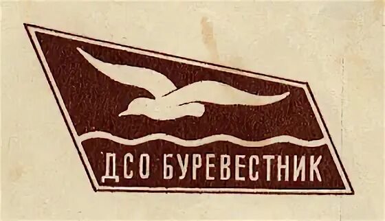 Общество буревестник. Буревестник Омск. Буревестник Пермь. Буревестник Чайковский.