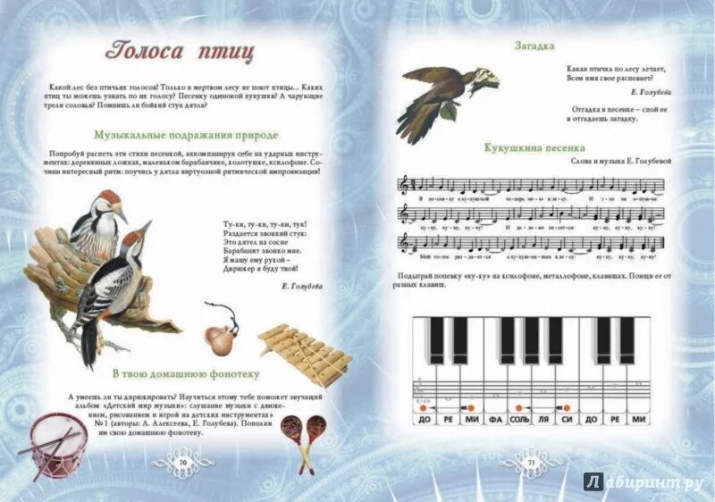 Музыкальный инструмент имитирует пение птиц. Музыкальные инструменты, подражающие пению птиц. Музыкальные книги для детей птичьи голоса. Дятел для фортепиано.
