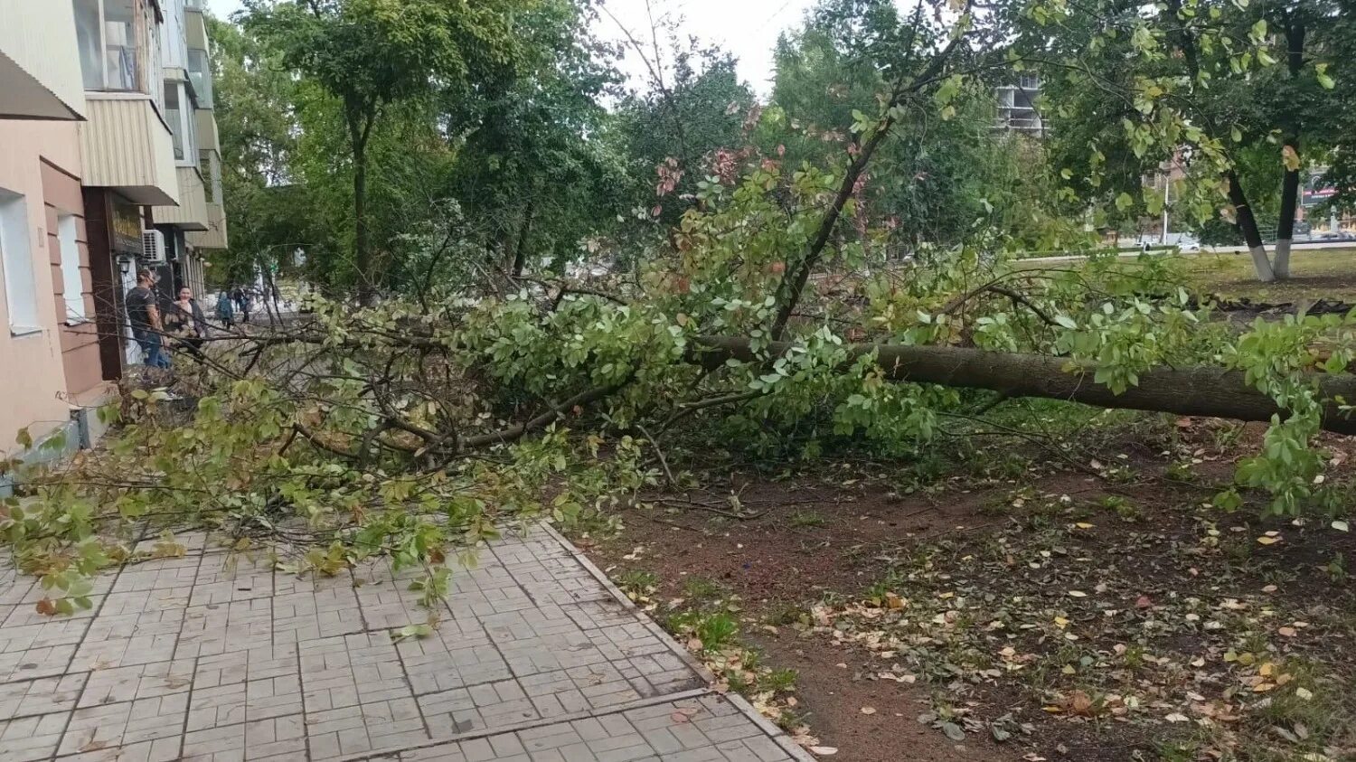 Беспилотник в уфе упал в черниковке