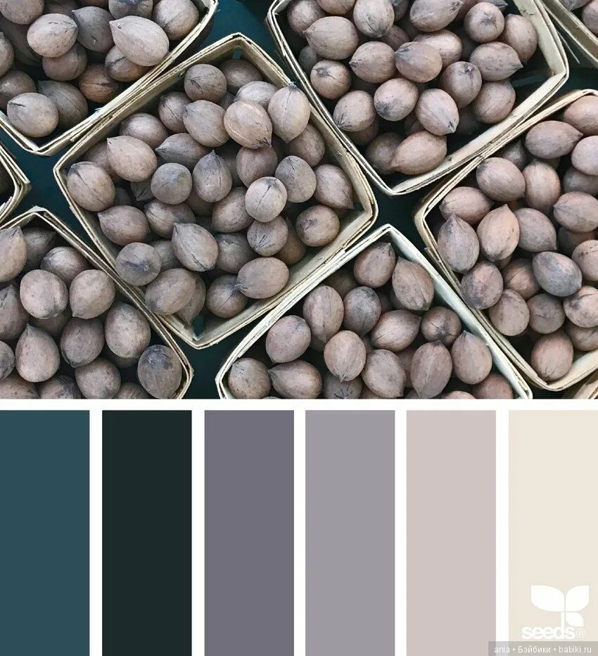 Палитра цветов серого цвета. Палитра seeds тёмные. палитра seeds серый. палитры джессики ака design seeds. seed цветовые палитры.