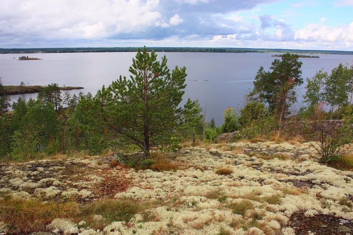 Однажды обходя окрестности