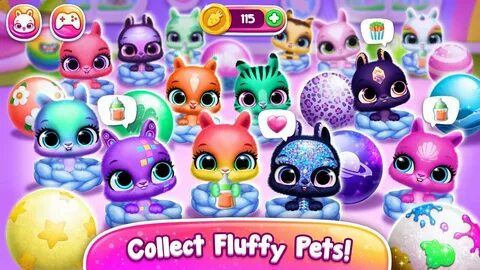 Pet world