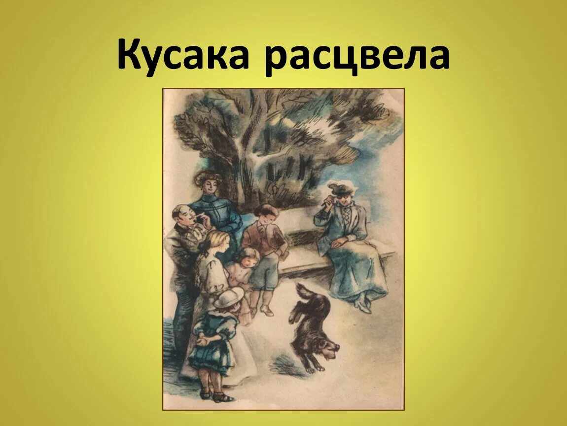 Урок кусака андреев 7. Кусака. Иллюстрация к рассказу кусака. Кусака Андреев иллюстрации к рассказу.