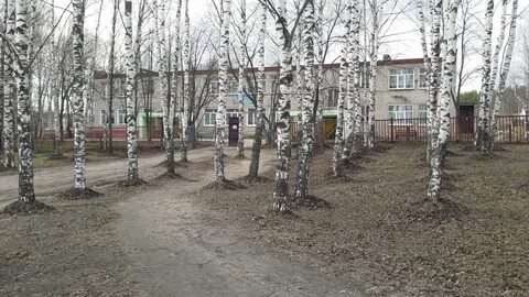 Детский сад 5 иваново