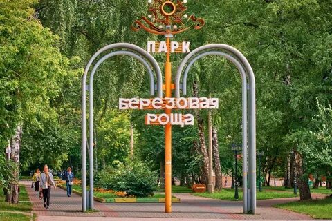 Березовая роща новосибирск улицы