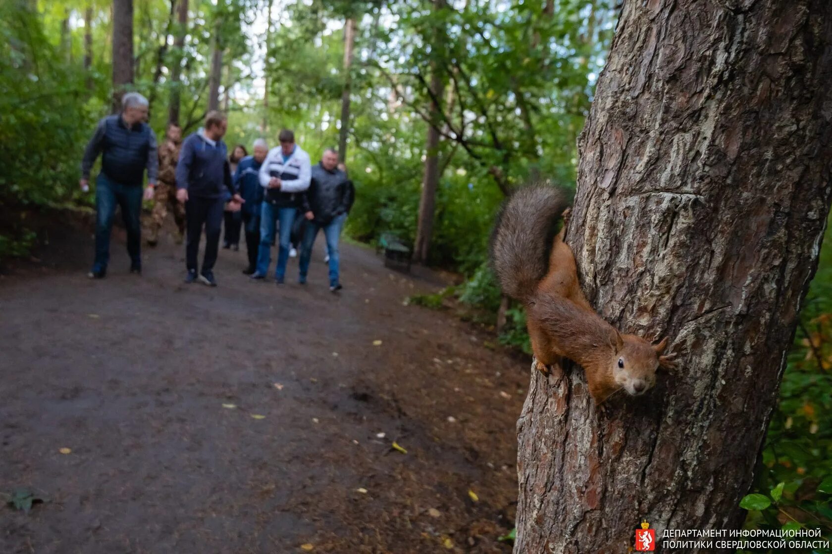 орешки для белки. Wanted белка. белочка с орехом. супер белка. белка обыкновенная или векша.