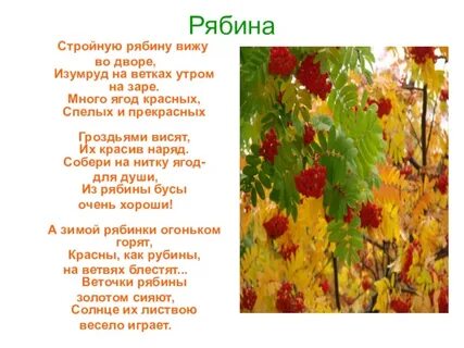 Текст песни ягода рябины горькая на вкус