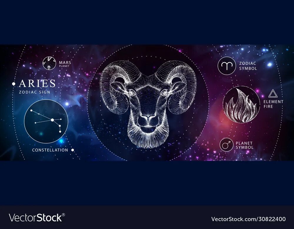 знаки зодиака. год зодиака козерог. павел глоба гороскоп на 2023г. знаки зодиака. любовный гороскоп на декабрь 2023 козерог мужчина.