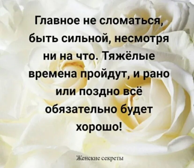 Несмотря на долгую жизнь. Несмотря ни на что цитаты. жить несмотря ни на что цитаты. жизнь продолжается цитаты. жизнь продолжается не смотря ни на что.