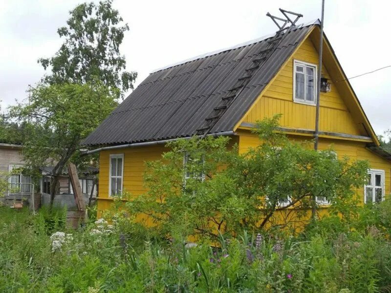 Поселок строганово. Строганово. Строганово. Строганово. Массив строганово снт волна.