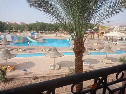 Parrotel beach resort отзывы 2024