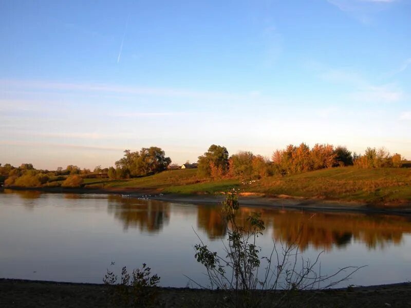 Прохоровский район село Петровка. Тетеревино Белгородская область Прохоровский район. Петровка Прохоровский Белгородская область. Село Петровка Белгородский район.