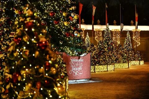 Новый год 24 ноября