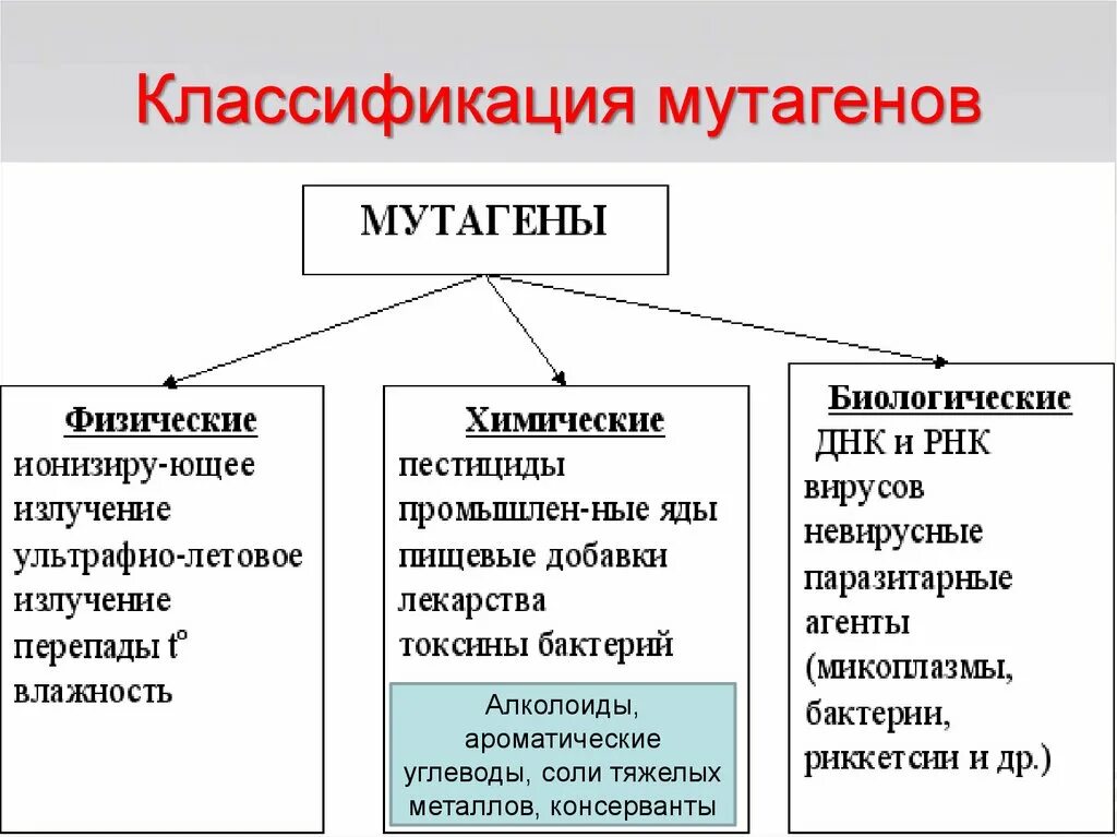 Назовите основные группы мутагенных факторов приведите примеры