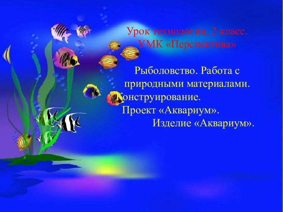 Презентация на тему аквариум. Проектная работа аквариум. Проект жители аквариума. Аквариум для презентации.