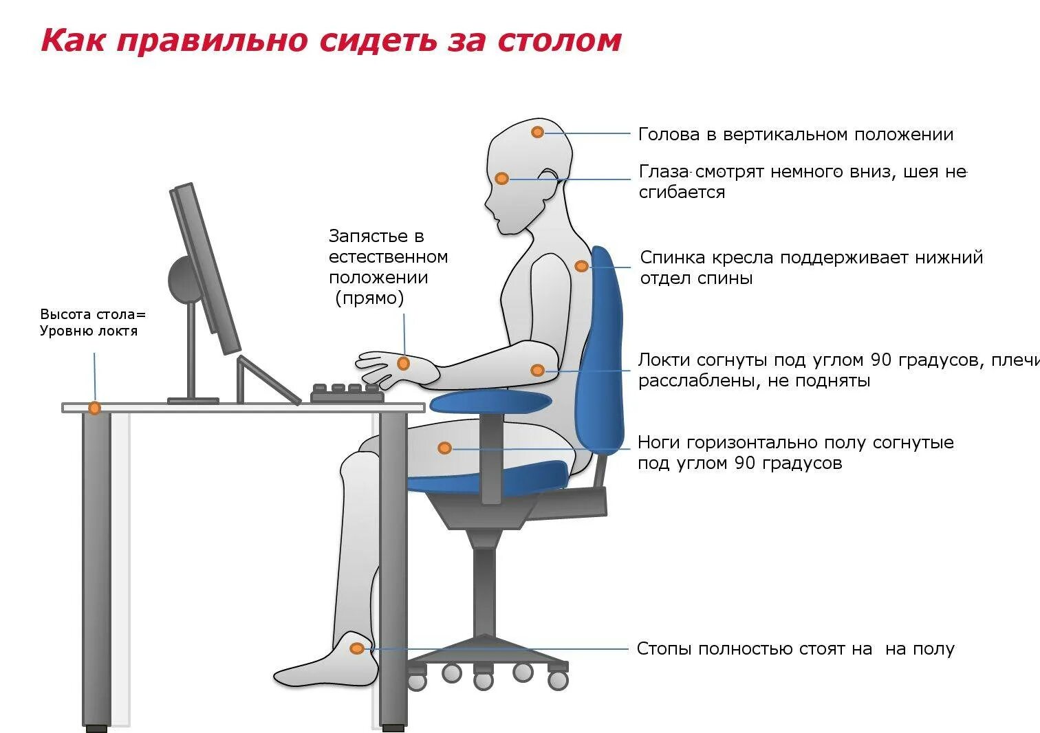 Как правильн оситдеть за компьютером. Правильно сидеть за компьютером. Правильное положение за компьютером. Правильная осанка за компьютером. Правильная посадка за столом