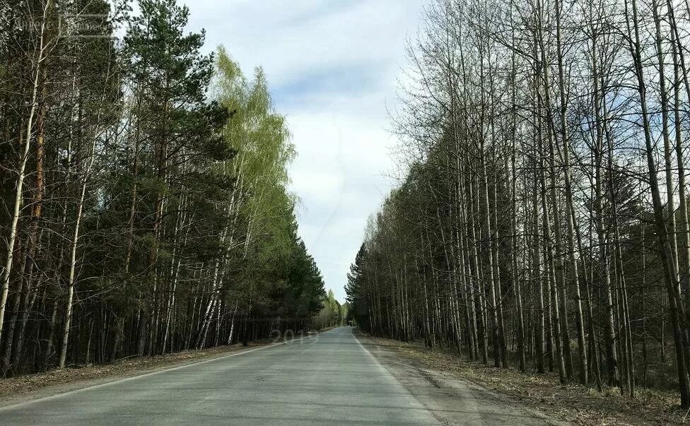 микрорайон лесной тюмень где находится. кемпинг «пруд лесной» (тюмень). микрорайон лесной тюмень где находится. микрорайон лесной. озеро лесное тюмень.